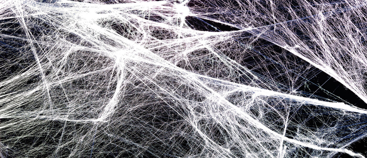 Fascia - kötőszövet